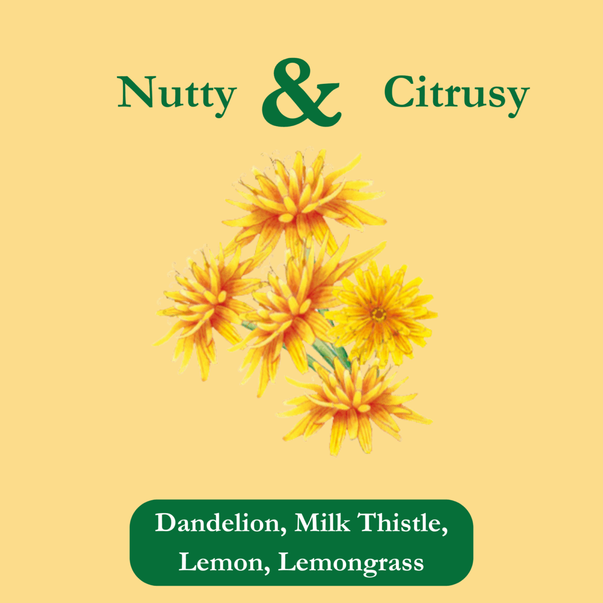 organic-dandy-detox-ingredients