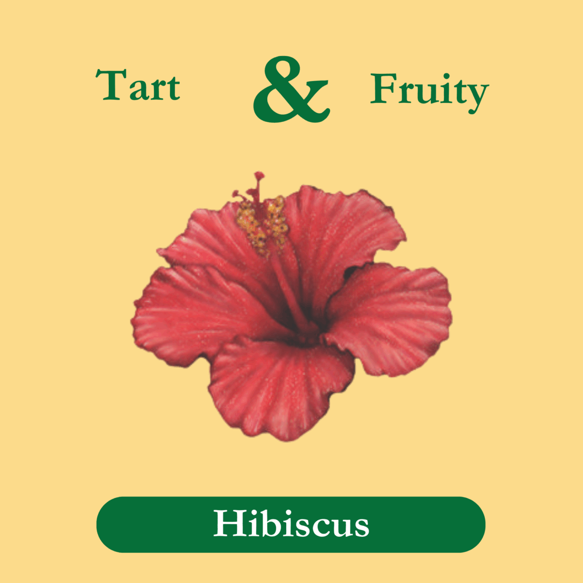organic-hibiscus-tea-ingredient