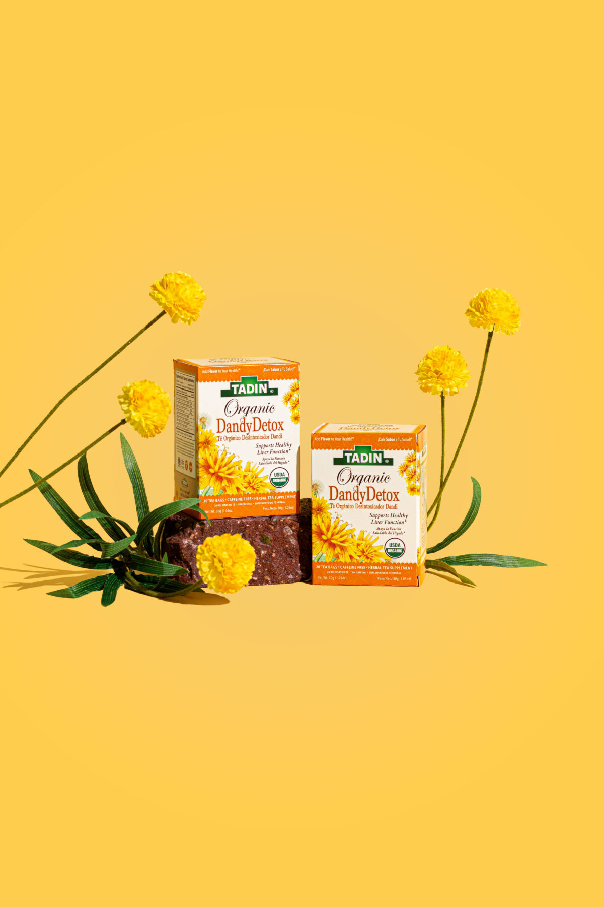 dandy-detox-lifestyle