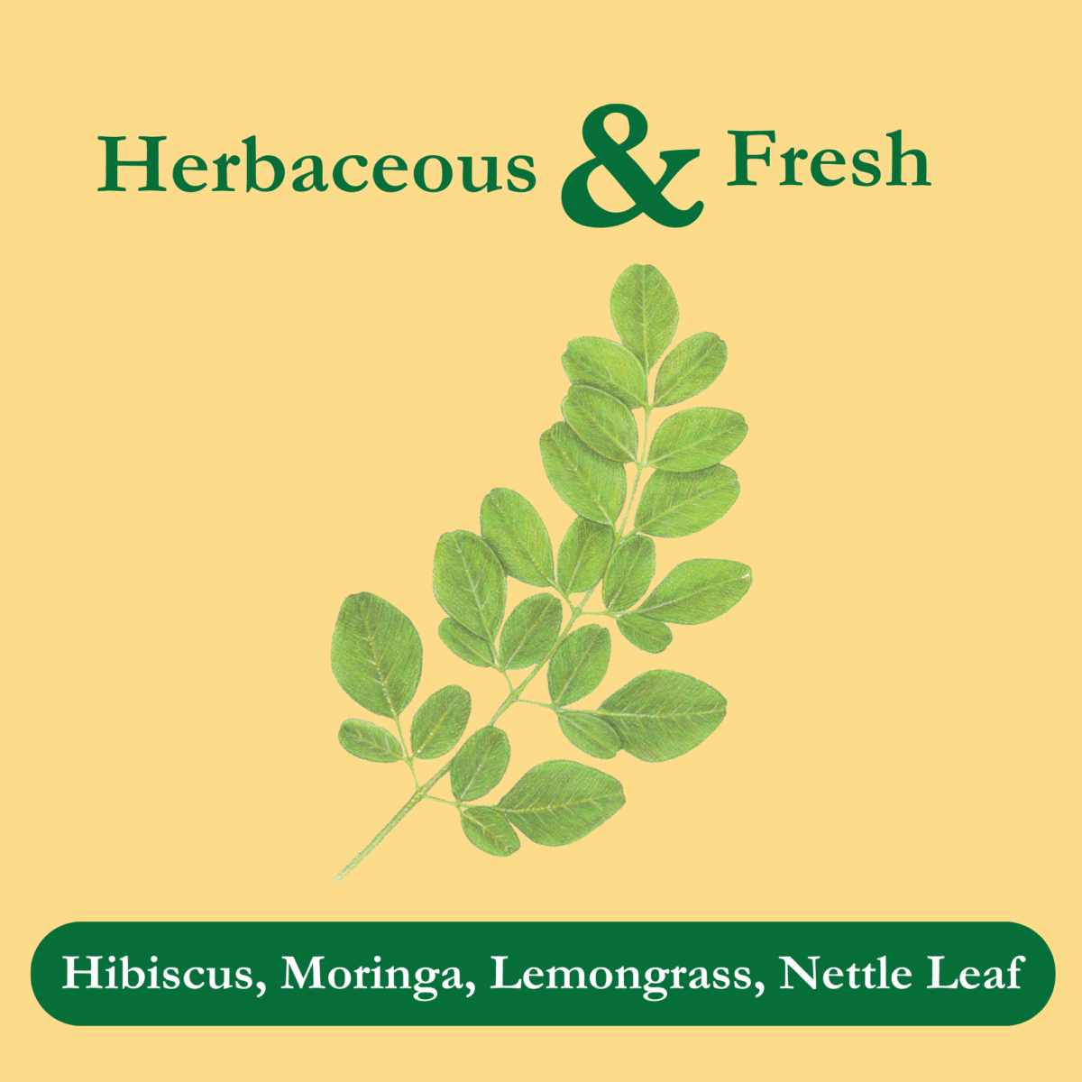 moringa-cleanse-organic-ingredients