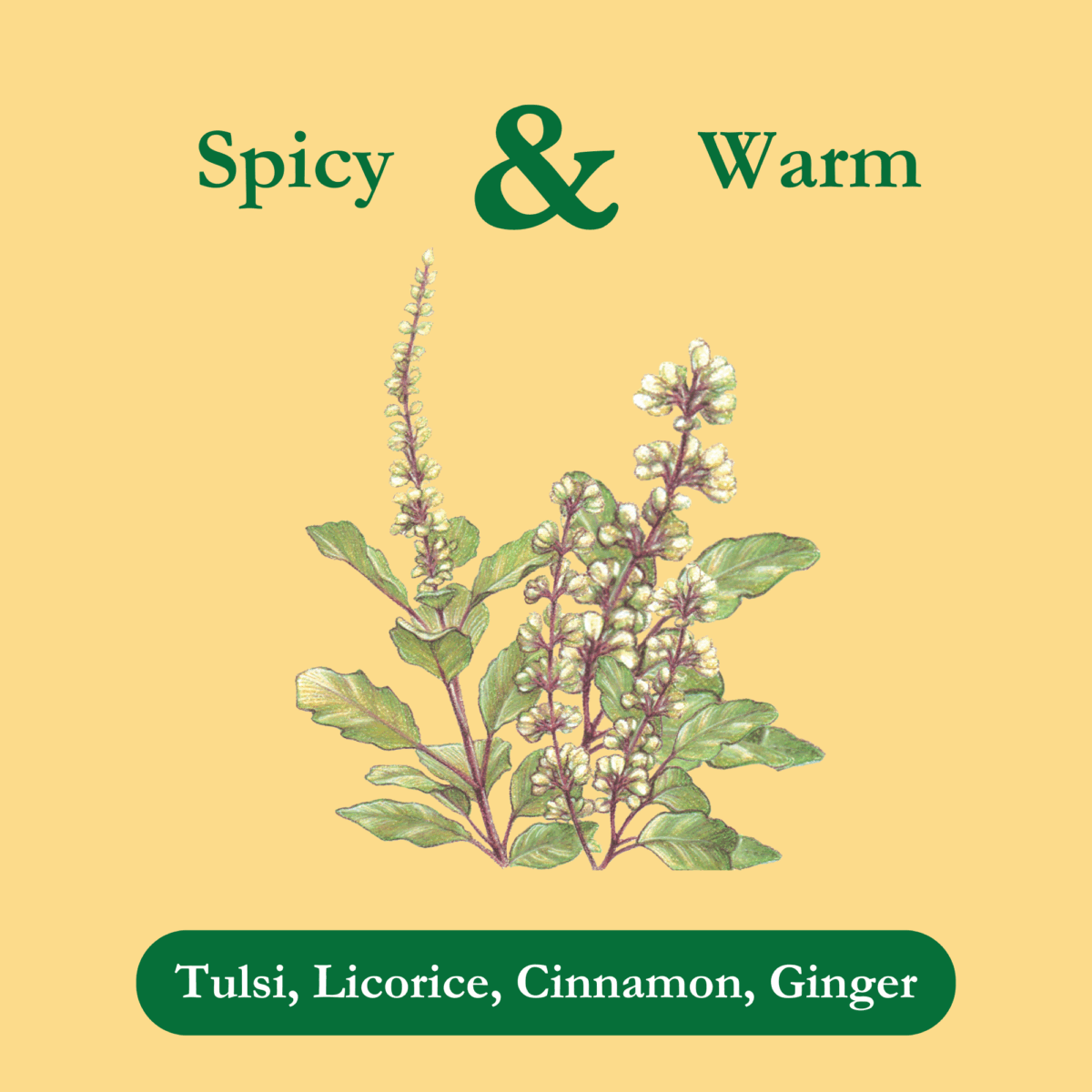 respiratory-balance-tea-ingredients
