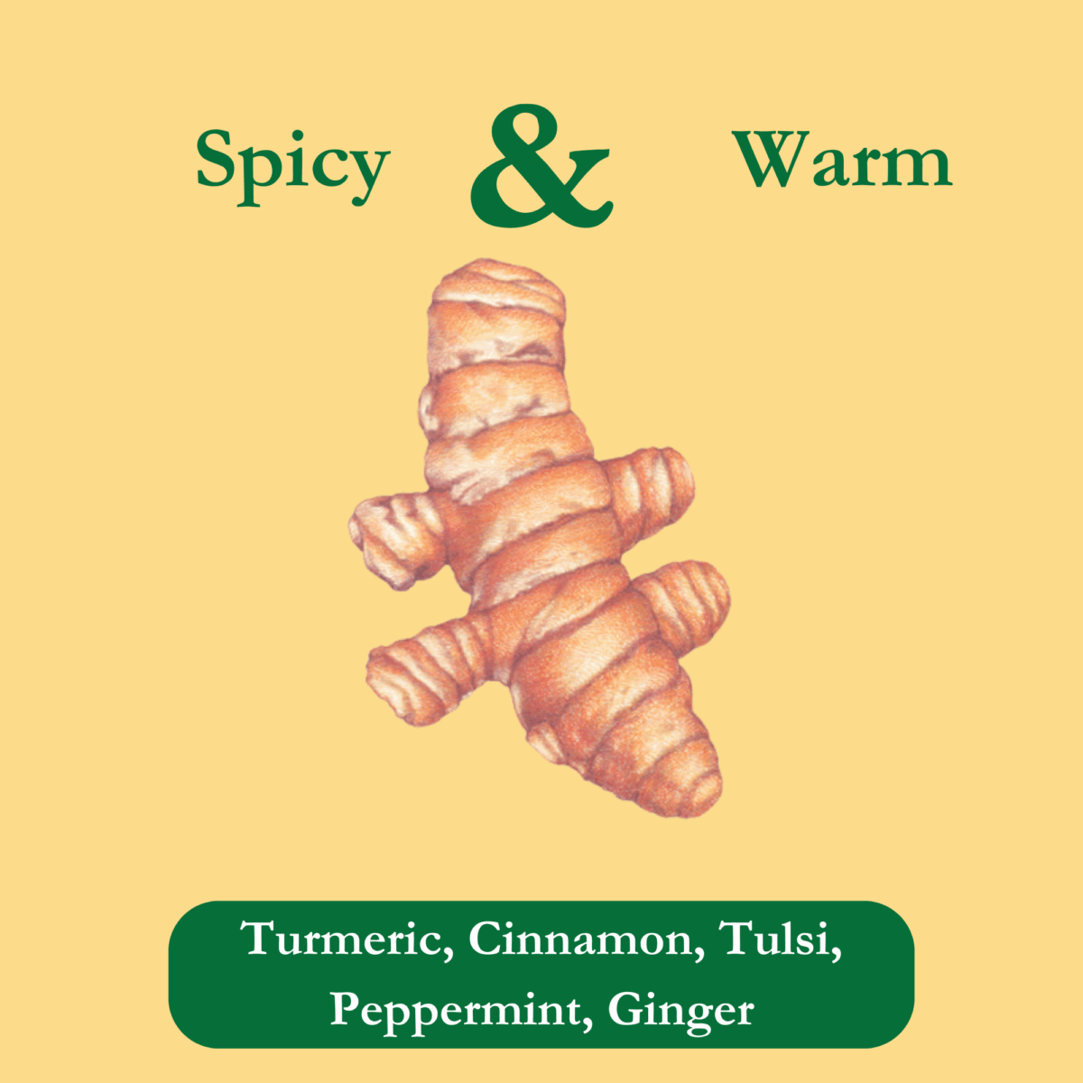 turmeric-ginge-tea-ingredients