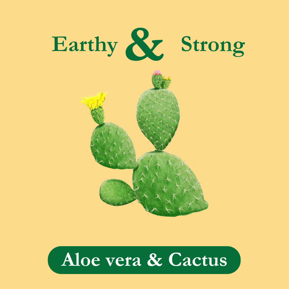aloe-vera-tea-cactus-tea-ingredients