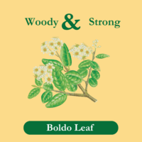 boldo-tea-ingredient