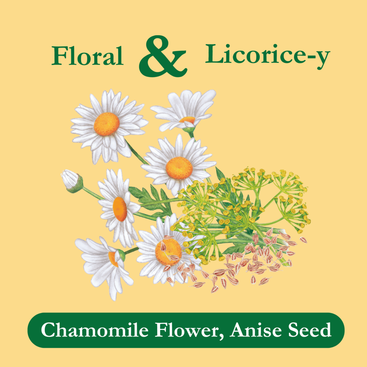 chamomile-tea-anise-ingredients