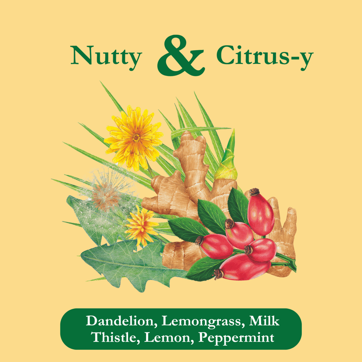 detox-tea-ingredients