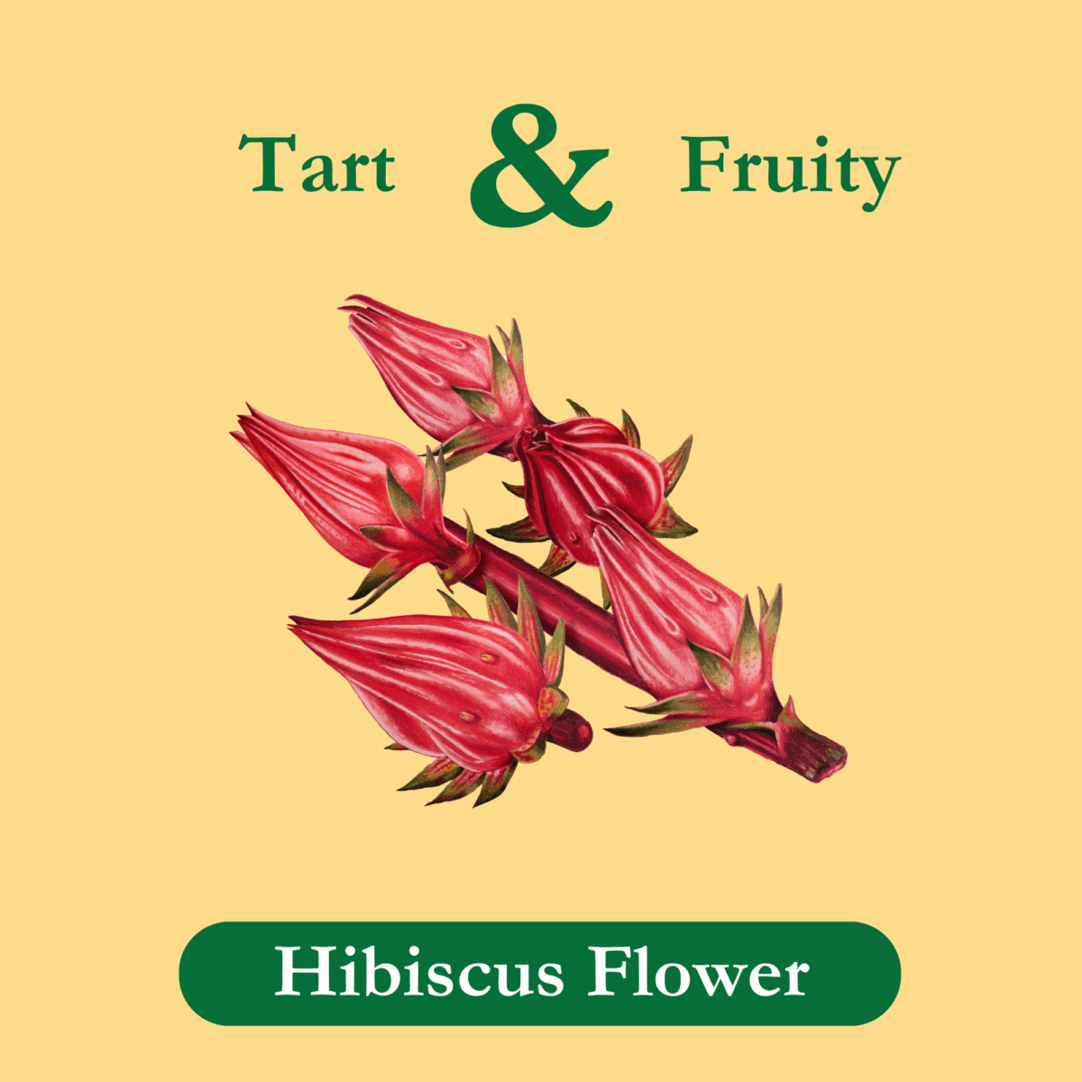 hibiscus-tea-ingredients