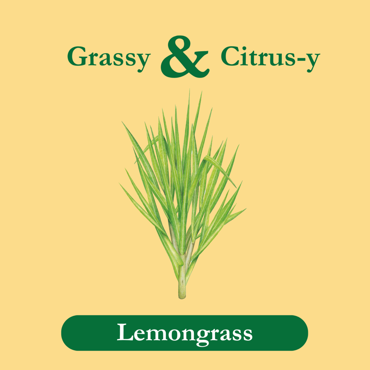 lemongrass-ingredients
