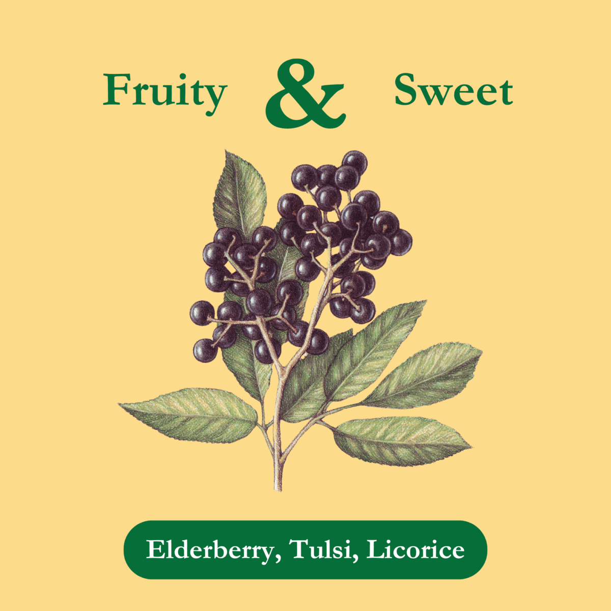 elderberry-organic-tea-ingredients