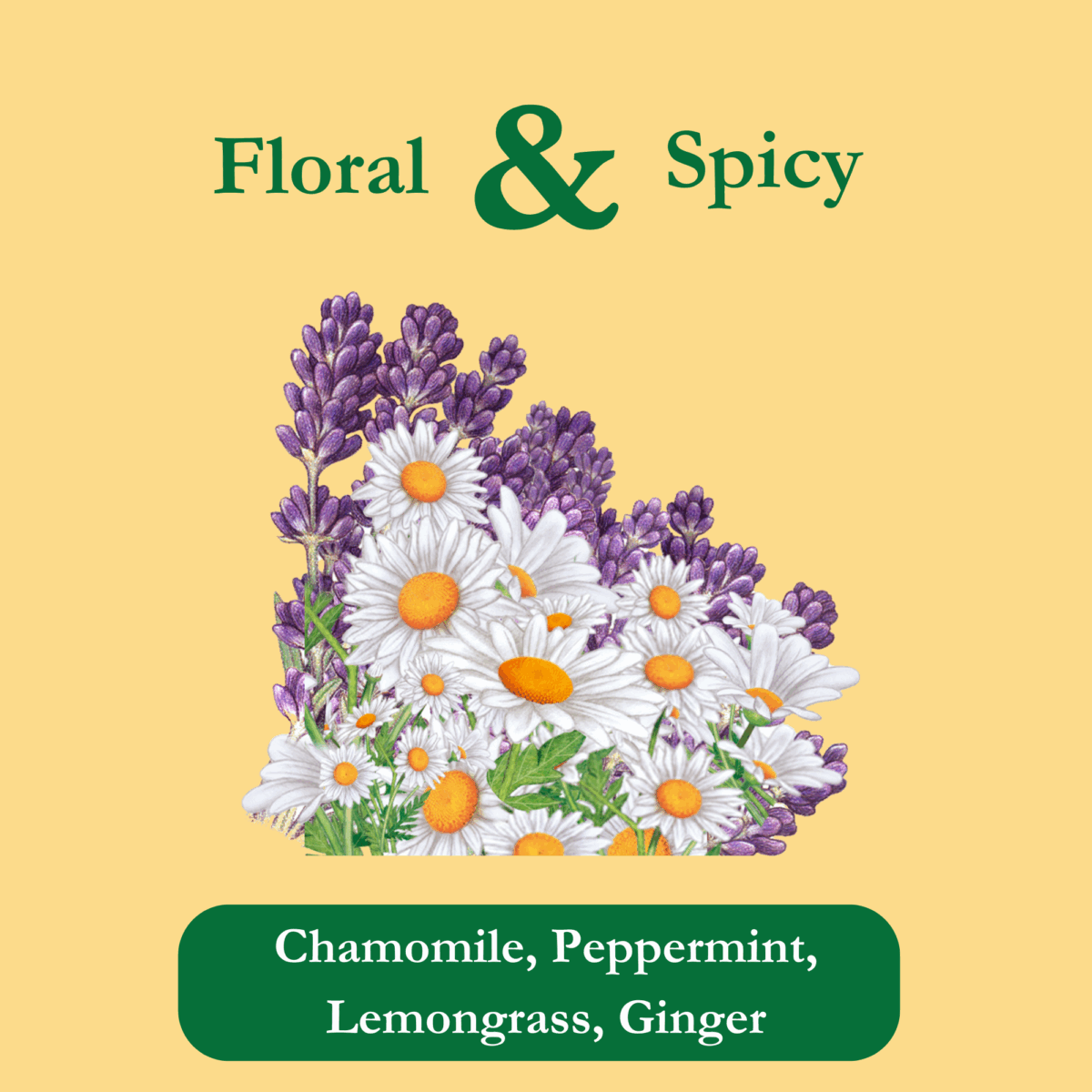 serene-dreams-organic-tea-ingredients