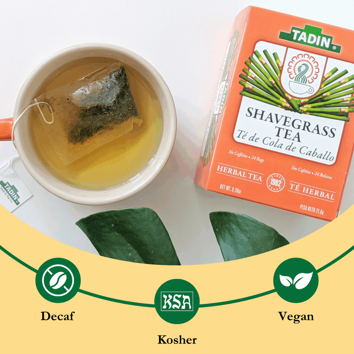 shavegrass-tea-features
