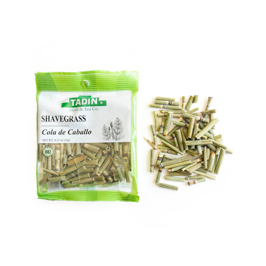 Shavegrass